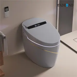 Toptan otomatik elektronik stool Bathroom banyo akıllı tek parça banyo malzemesi tuvalet akıllı bide tuvalet
