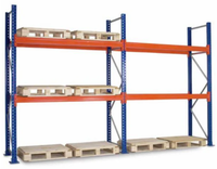 Système de rayonnage industriel robuste pour palettes