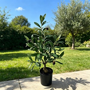 olive <b>tree</b> Artificial olive <b>tree</b>, artificial oil olive <b>tree</b>, bionic olive <b>tree</b>, artificial oil olive <b>potted</b> plant - Product Image 3