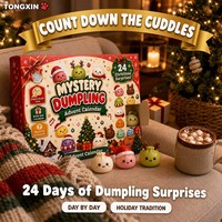 Calendrier de l'Avent Squishy de Noël 24 Jours TONGXIN – Boîte Mystère Squishy en Forme de Dumpling pour Compte à Rebours – Cadeau Idéal pour le Stocking Stuffer – Lot en Gros