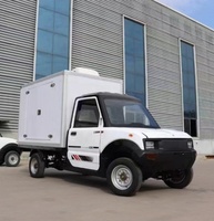 Mini camionnette électrique de véhicule de nouvelle énergie chinoise avec la cabine simple 4x2 et le mini camion électrique moderne de 2 sièges