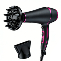 Sèche-cheveux ionique professionnel pour salon et barbier avec diffuseur, moteur DC 2200W, design compact pour usage commercial, camping-car et hôtel