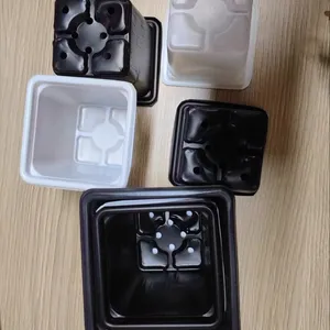 Custom Single Cells Holes Plastic Reusable Deep Seed Sprouting Tray Punnet Microgreen Disposable Planting Seeding Tray