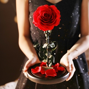 Kit di Rose Eterne dell'Ecuador <span class=keywords><strong>in</strong></span> Vetro, Fiori Conservati all'Ingrosso - Product Image 6