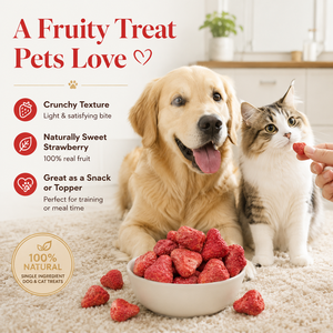 Collations lyophilisées pour animaux de compagnie Fraises lyophilisées Vente en gros de marchandises en vrac Fruits et légumes lyophilisés Collations pour chiens - Product Image 1