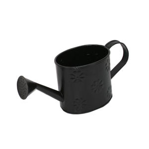 Durable 1.5L Metal <b>Watering</b> <b>Can</b> for Outdoor Gardening Home & Garden Plant Care - Product Image 1