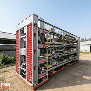 Sistema di Allevamento Avicolo con Gabbie per Galline Ovaiole a Struttura Bilanciata, Supporto Tecnico, Vendita all'Ingrosso per Cooperativi Avicoli - Product Image 1