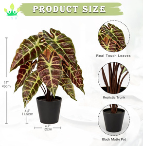 Pianta artificiale vera e propria tocco pianta di Alocasia <span class=keywords><strong>in</strong></span> <span class=keywords><strong>vaso</strong></span> nero pianta d'<span class=keywords><strong>appartamento</strong></span> per mensola <span class=keywords><strong>da</strong></span> tavolo centrotavola casa fattoria decorazioni per la casa - Product Image 2