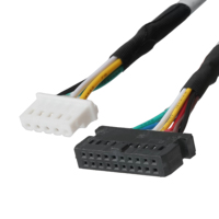 كابل LVDS موصل HSG PHSD 30P A2545-2*10P LHE 5264-5U بعزل PET، تصنيع حسب الطلب (OEM/ODM) لتطبيقات الكمبيوتر، مجدول ومطلي بالفضة