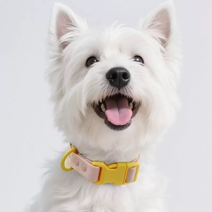 Toptan su geçirmez dayanıklı biyo PVC silikon köpek göğüs tasması takım için toka ile evcil hayvan kayışı lüks taktik köpek yaka Pet - Product Image 3