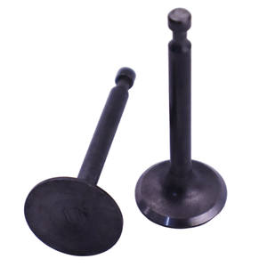 Vanne de motoculteur mini 168F à succès – Pièces d'origine pour générateur à essence et pompe à eau : soupapes d'admission et d'échappement et tappets - Product Image 5
