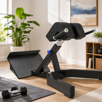 Chaise romaine professionnelle pour exercices de renforcement musculaire en salle de sport