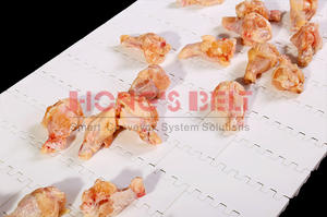 Hongsbelt Platte Top Modulaire Transportband Voor Fruit Industrie - Product Image 3