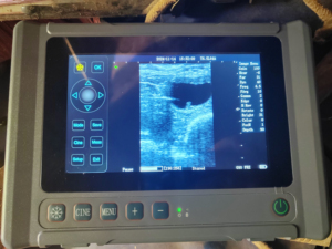 Cheapest Portable Veterinary Ultrasound Scanner for <b>Cow</b> Animal Pet - Product Image 6