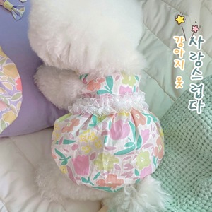 Korean style INS bubble princess dress, thin spring/summer pet <b>clothes</b> for Bichon Frise, Teddy, <b>cats</b>, and puppies. Wholesale. - Product Image 1