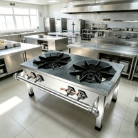 Cuisinière à gaz professionnelle à double brûleur, pieds courts, en acier inoxydable, pour cuisine de restauration, cuisson de grands récipients