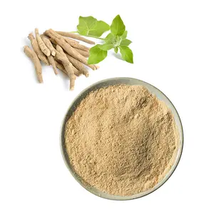 Best Price 2.5% 10% Ashwagandha Extract Ashwagandha Powder Withania Somnifera Organic