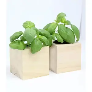 Supporto per Piante in Legno a Cubo Made in Italy, Gadget Sostenibili - Product Image 1