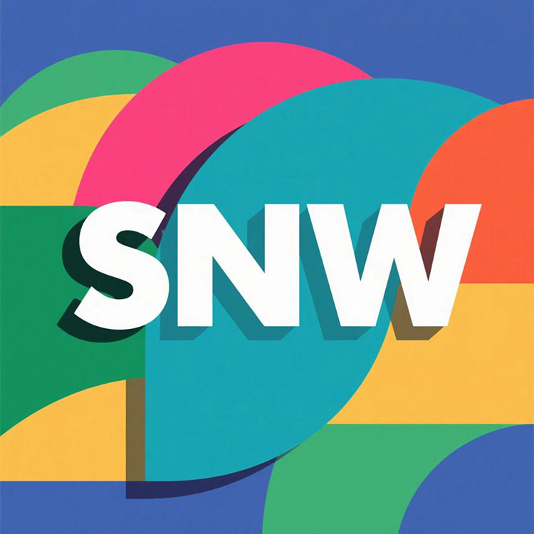 Shaoxing SunnyWave Packaging Technology Co., Ltd. logo
