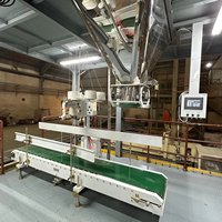 Machine de remplissage semi-automatique électrique Ewinall DCS-60BK-C à haute efficacité pour farine de coco et son, avec PLC, en métal, à économie d'énergie
