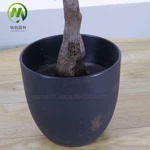 Nuevo Olivo Artificial de Interior, Bonsái de Plástico con Hojas de Seda, Plantas de Olivo Ornamentales para Vestíbulo y Jardín - Product Image 6