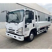 Nouveau camion léger 4x2 Euro 6, 150-250 ch, pour le transport express