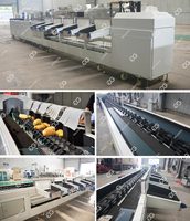 Ligne de pesage, de tri et d'emballage des fruits d'agrumes et de mangues à prix d'usine, machine de tri des fruits de pomme