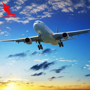 บริการขนส่งสินค้าด่วนจากจีนไปแซมเบีย บริการขนส่งสินค้าด่วน Armaex <span class=keywords><strong>Express</strong></span> Freight บริการขนส่งสินค้าระหว่างประเทศ จัดส่งด่วนจากจีนไปแซมเบีย - Product Image 6