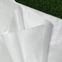 Sac Tissé en PP Certifié CE Vide pour Emballage Plastique 25 kg 50 kg, Sac en Polypropylène pour Farine, Maïs, Céréales, Riz, Semences, Aliments pour Animaux