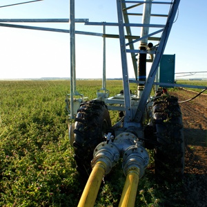 Systèmes d'irrigation agricole automatiques <span class=keywords><strong>DYP</strong></span>/DDP 2026 utilisant des pneus usagés - Product Image 2