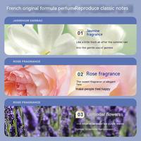 Diffuseur d'Huiles Essentielles Nébuliseur USB à Brume Fraîche Fengyu en Promotion pour Voiture, Diffuseur d'Arômes Luxe Sans Eau Personnalisé pour Maison