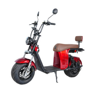 Nouvelle trottinette électrique Citycoco Brésil 2026 à pneus larges pour adultes, vente chaude, directement de l'usine - Product Image 4