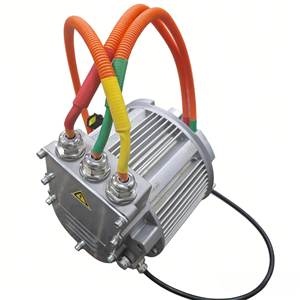 Motor PMSM Marino IE4 para Vehículos Eléctricos, Sin Escobillas, IP67, 4KW 5KW 7.5KW 10KW, Par Máximo 70 80 90 140 Nm, 7000 RPM Máx. - Product Image 5