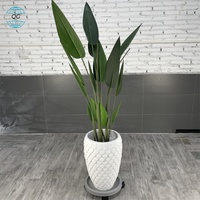 Pot Bunga Taman Besar Desain Baru 2025, Tahan Lama, Klasik, Terbuat dari Fiberglass Magnesium Oksida, Ukiran Tangan, untuk Luar Ruangan, Merek QUANGUI