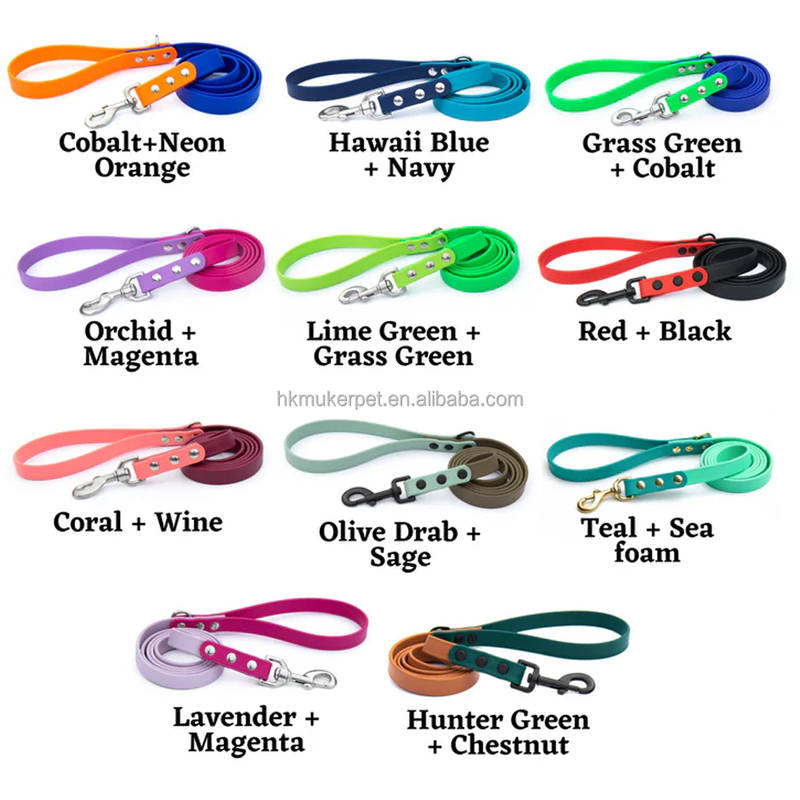 Two Color Combination Traditional Dog Leash