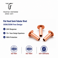 Rivets semi-tubulaires à tête plate en titane TianFang pour boîtiers électroniques prototypes, finition polie, production OEM basée sur plans