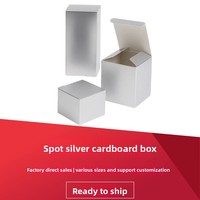 Boîtes d'emballage cosmétique à boucle en carton argenté haut de gamme, cartons personnalisés imprimés en couleur pour flacons à compartiments et pommades