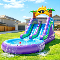 Toboggan aquatique gonflable commercial en PVC pour jardin, fête en plein air, toboggan gonflable sec et humide avec piscine à jets d'eau pour adultes et enfants