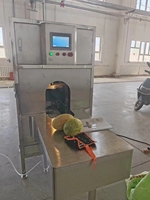 Grapefruit Meloen Pompoen Watermeloen Grote Taro Papaja Ananas Koolrabi Mango Rode Biet Citroen Dunschiller Fruit Schilmachine