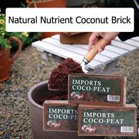 Brique de coco compressée 100% biologique de qualité supérieure pour la culture d'herbes aromatiques