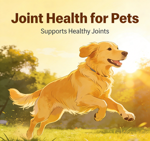 OEM/ODM Glucosamine Chondroïtine pour chiens – Friandises à mâcher souples pour <span class=keywords><strong>la</strong></span> santé des articulations, soutien musculaire, beauté et vitalité – Riches en protéines, sans céréales - Product Image 3