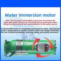 Pompe à eau submersible haute pression QS/QSP en acier inoxydable 3 HP, remplie d'eau, pour fontaine QS65-10-3, grand débit, pour aménagement paysager