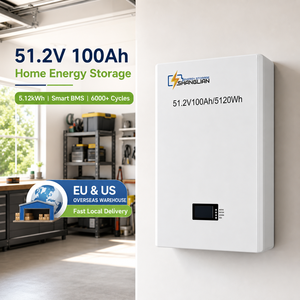 แบตเตอรี่ LiFePO4 51.2V100Ah ชุดแบตเตอรี่ลิเธียมแบบชาร์จได้ 5.12kWh สำหรับระบบกักเก็บพลังงานแสงอาทิตย์ จัดส่งจากคลังสินค้ายุโรป - Product Image 1