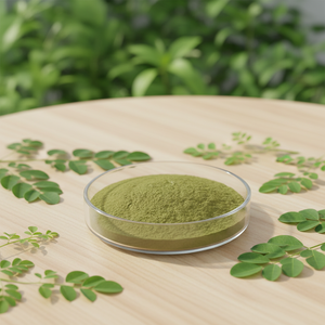 Extracto Puro <span class=keywords><strong>de</strong></span> Hoja <span class=keywords><strong>de</strong></span> <span class=keywords><strong>Moringa</strong></span> <span class=keywords><strong>en</strong></span> <span class=keywords><strong>Polvo</strong></span> 10:1 20:1 Envasado al Vacío <span class=keywords><strong>en</strong></span> Contenedor <span class=keywords><strong>de</strong></span> Plástico para Suplemento Alimenticio - Product Image 1