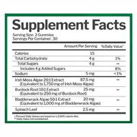 Gummies véganes en gros de mousse de mer pour l'hydratation et l'équilibre électrolytique des adultes, avec oligo-éléments et soutien immunitaire