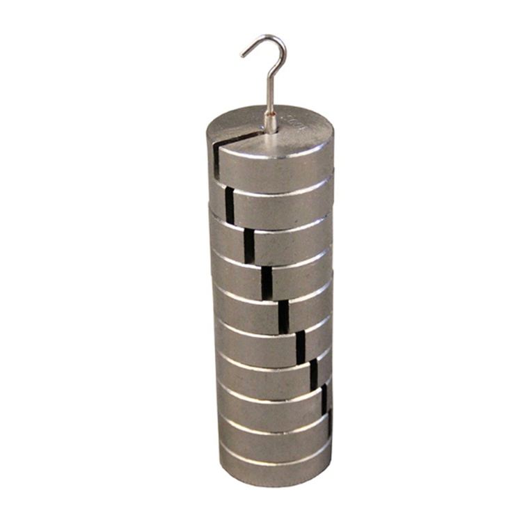 PRETYZOOM 100g Slotted Mass Set - Chrome Plated Iron Weights With 9 Hangers For Laboratory Experiments PRETYZOOM 100g Slotted Mass Set - Chrome Plated Iron Weights With 9 Hangers For Laboratory Experiments