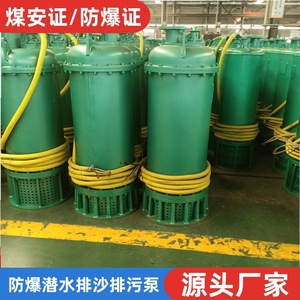 ปั๊มจุ่มใต้น้ำ Bqs80 190 90kw ปั๊มดูดน้ำทรายป้องกันการระเบิดสำหรับงานเหมือง สำหรับการระบายน้ำจากบ่อน้ำลึก - Product Image 2