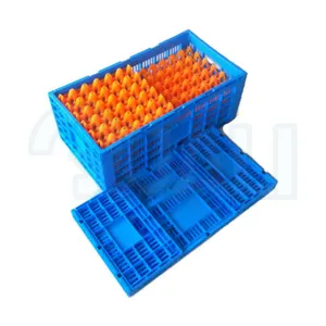 Quali 100% Virgin PE Material Transport Plastic Folding Egg Crate