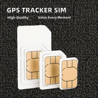 Carte SIM pour traceur GPS, internationale, 4G, 3G, 2G, Internet GPRS, 30 Mo/mois, pour un abonnement d'un an, rechargeable, itinérance mondiale