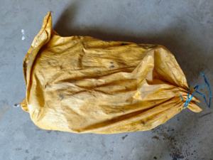 Proveedor de Calamar Negro Congelado, Calamar Negro Entero Redondo, Fabricante de Calamar, 100-200g, Peso Sin Especificar - Product Image 4